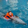 Swim With Dolphins - Image 4