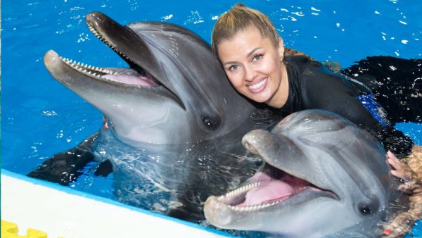 Swim With Dolphins