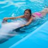 Swim With Dolphins - Image 2