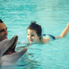 Swim With Dolphins - Image 3